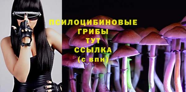амфетамин Окуловка