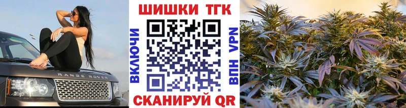 закладки  Ядрин  Бошки Шишки ГИДРОПОН 